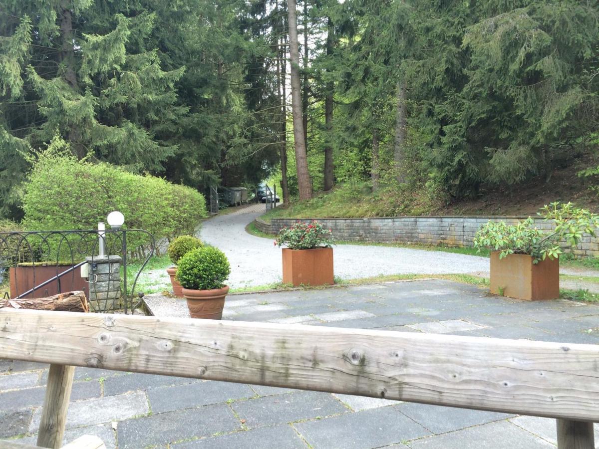 Ferienhaus Hirtenwiese Willingen  Exterior foto
