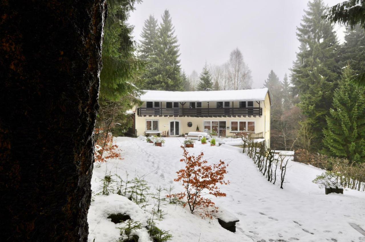 Ferienhaus Hirtenwiese Willingen  Exterior foto